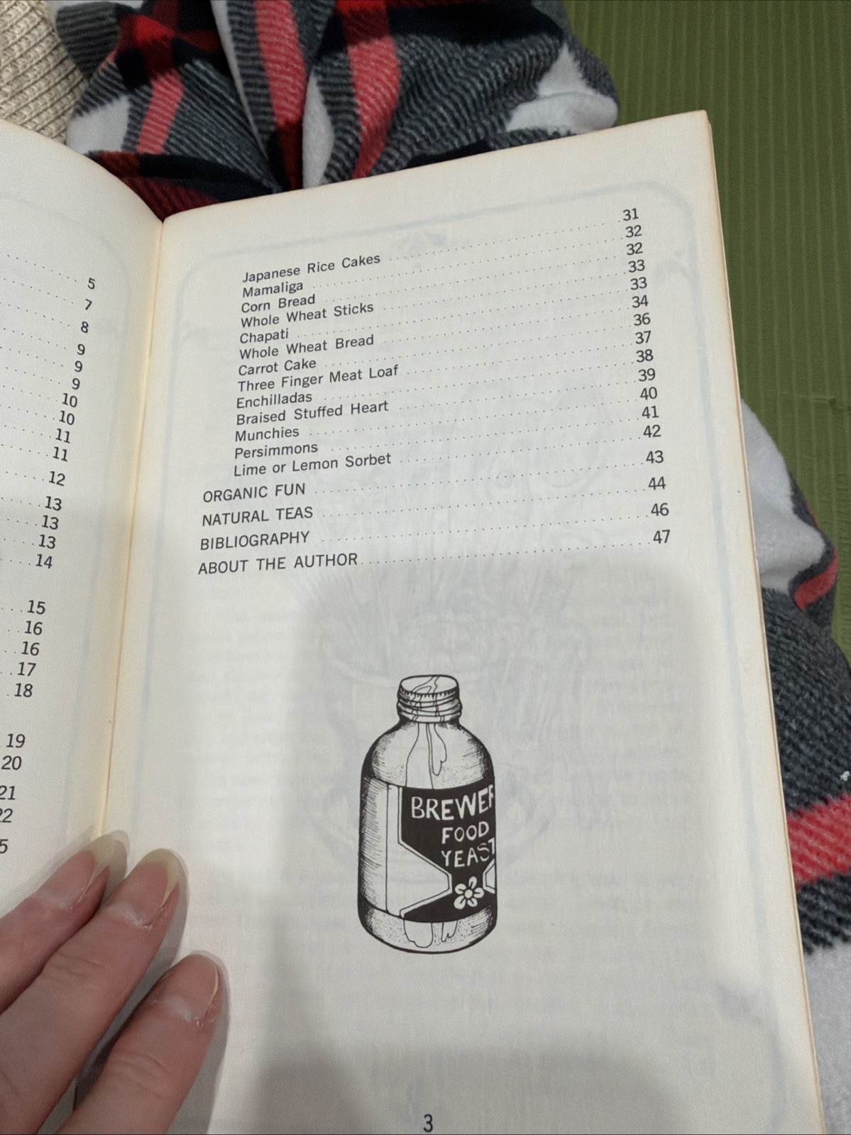 Earth Food By Jim Corlett, Published By Potpourri Press, Food Pamphlet