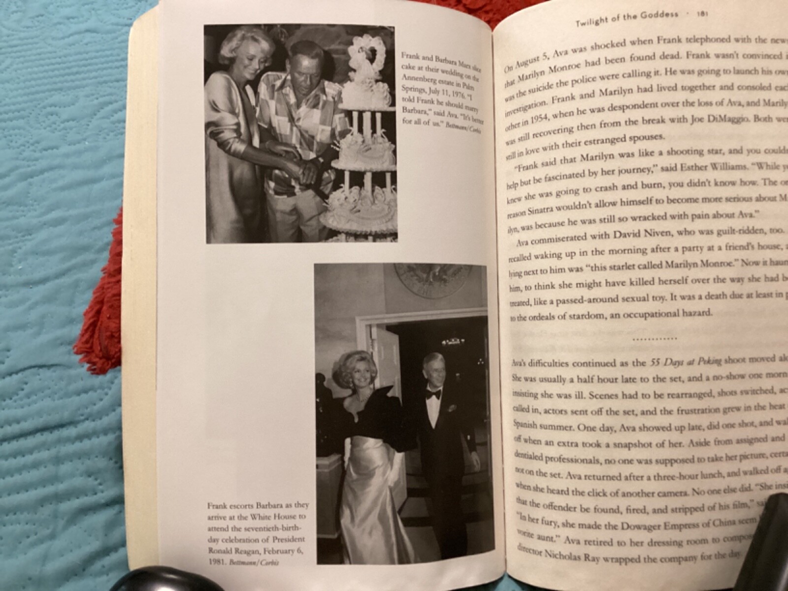 FRANK & AVA-IN LOVE and WAR,2015 PAPERBACK by JOHN BRADY, 292 PAGES/FREE POSTAGE