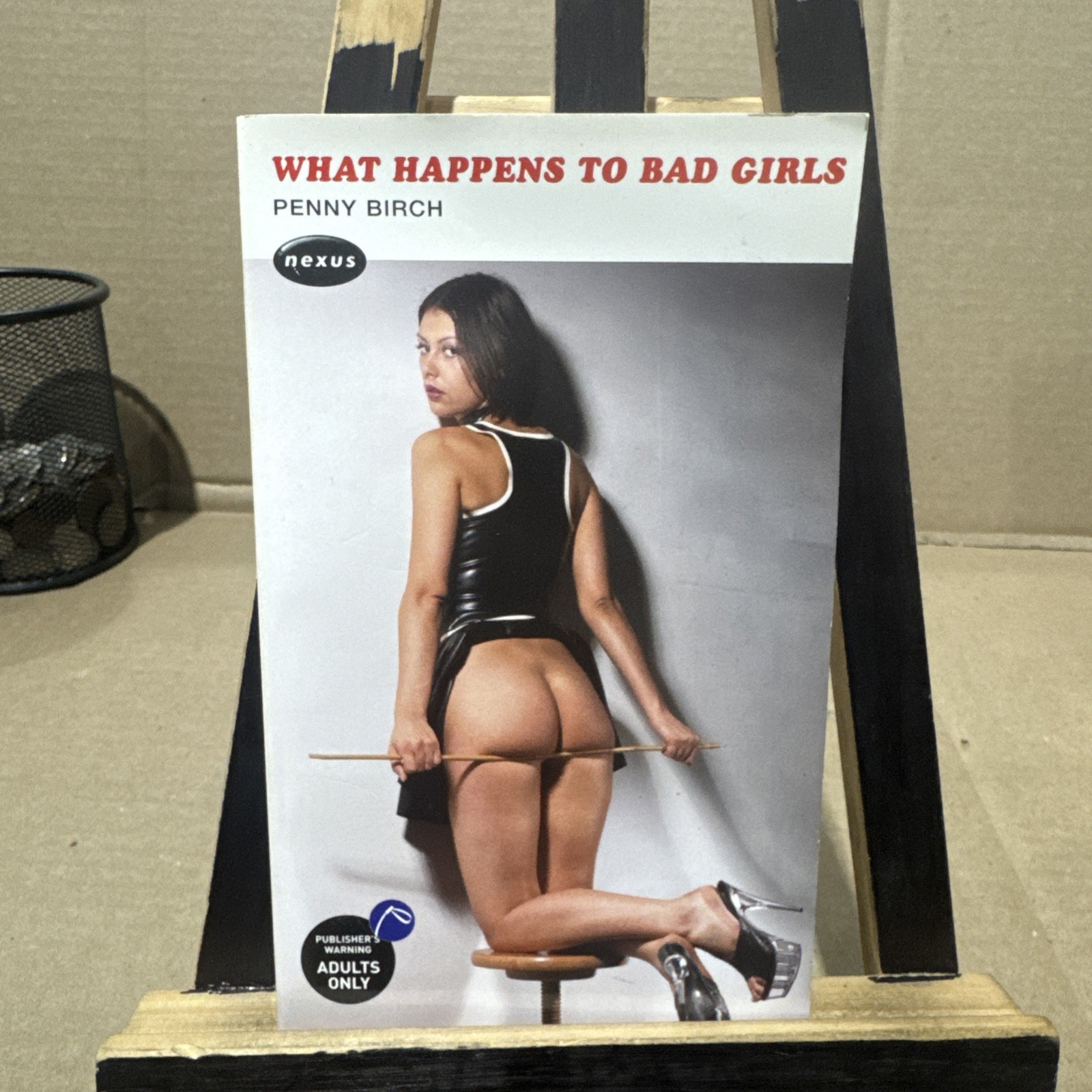 What Happens to Bad Girls by Penny Birch (2006, Mass Market)