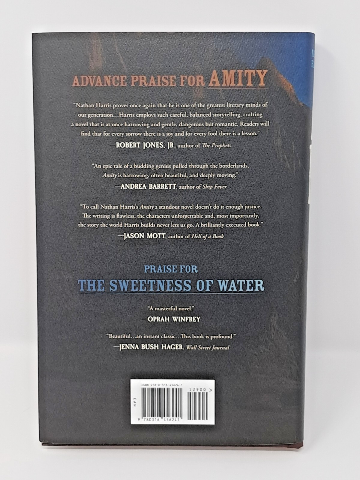 Amity by Nathan Harris (2025, Hardcover) American Historical Fiction novel
