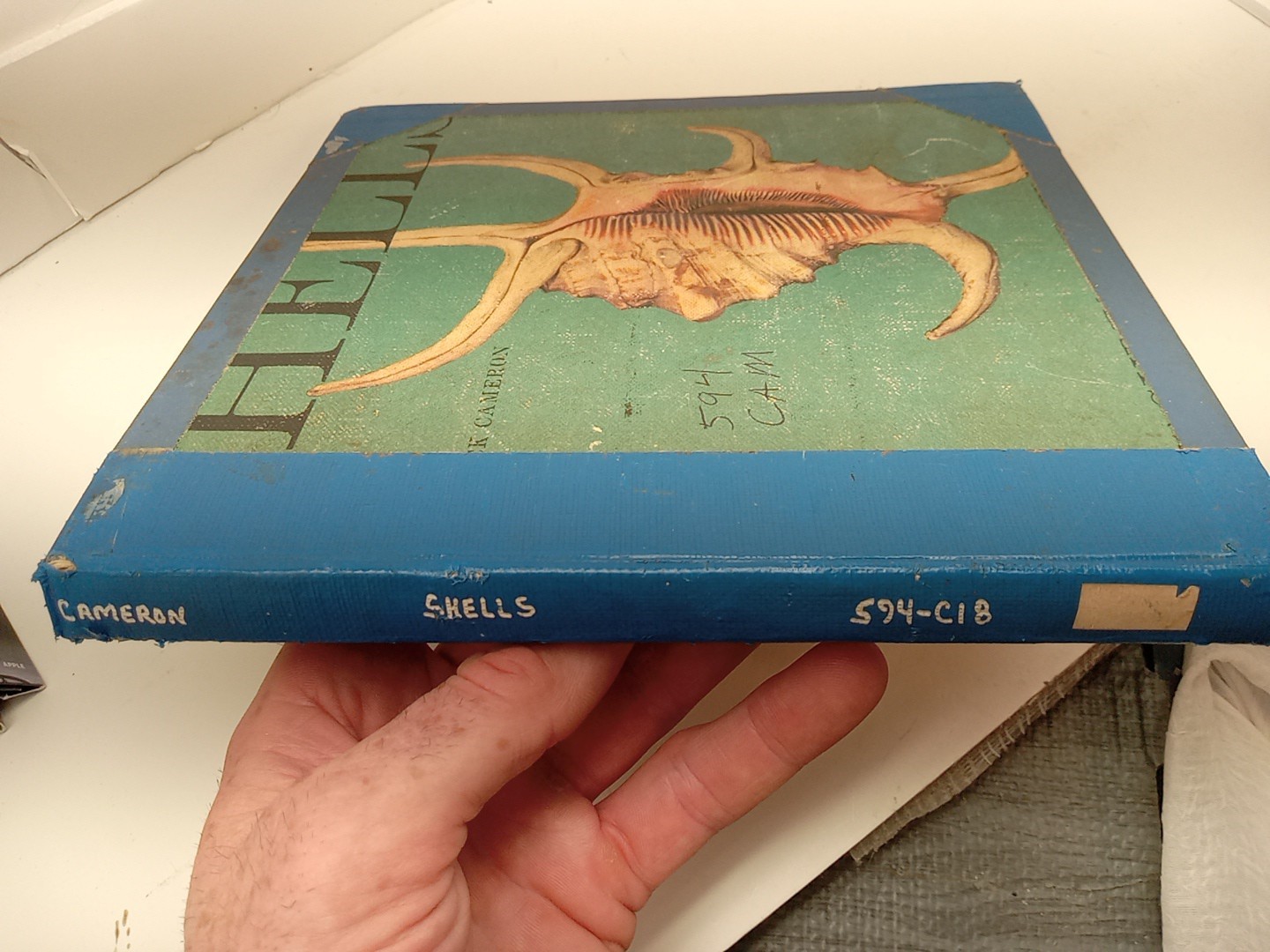 Shells By Roderick Cameron (HC, 1961) Ex Library – READ