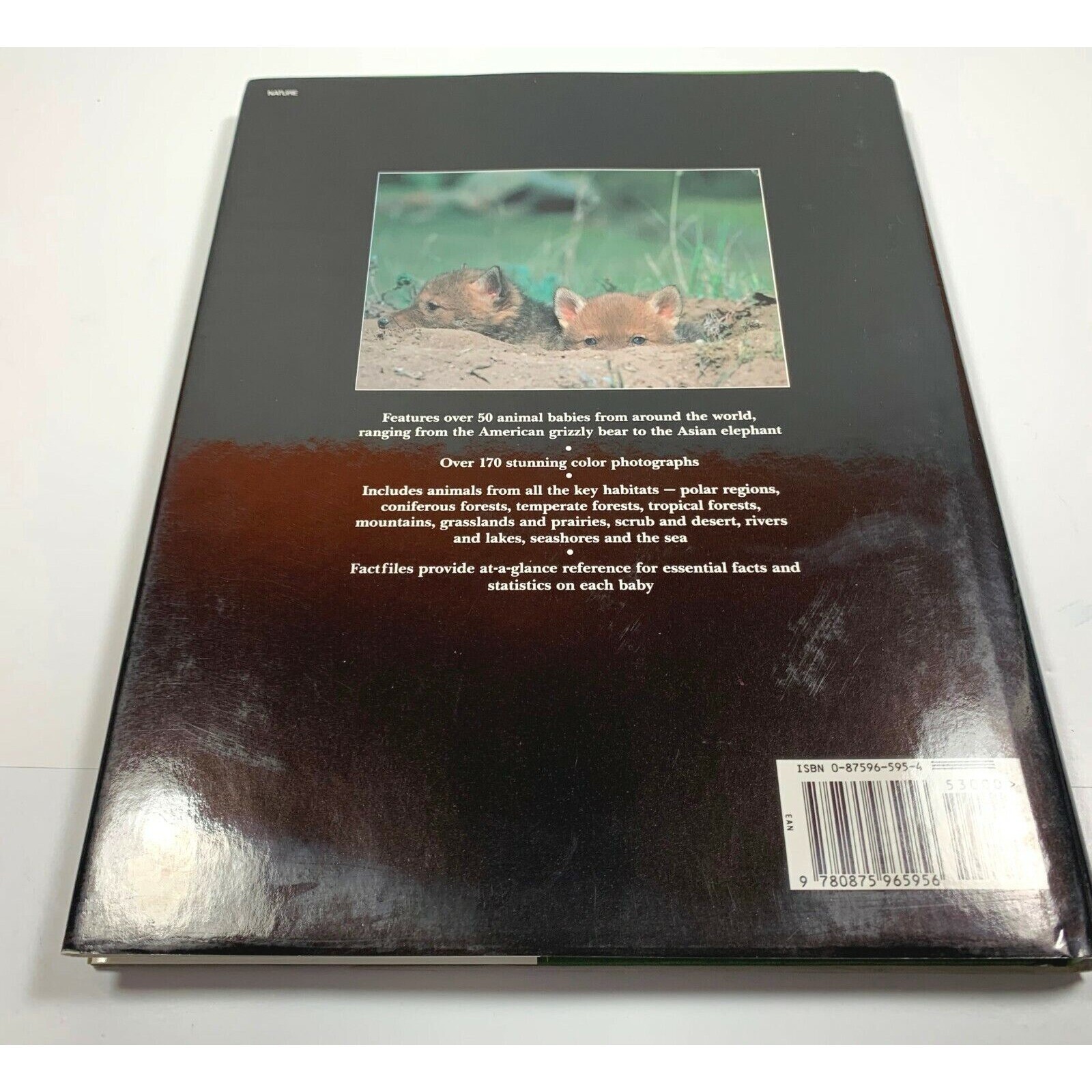 Animal Babies Steve Parker Hardcover Book Habitat Guide to Wild Animals 1994