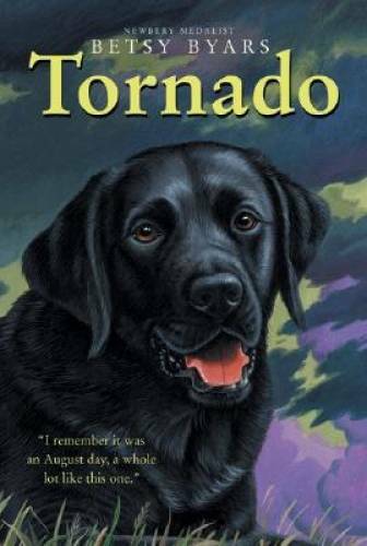 Tornado (Trophy Chapter Books (Paperback)) – Paperback – VERY GOOD