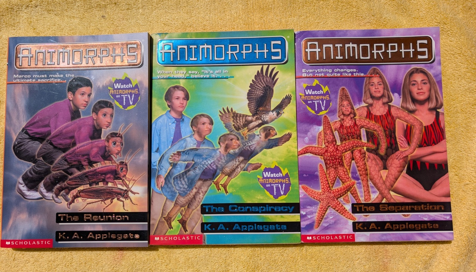 Animorphs Books Lot Of 19