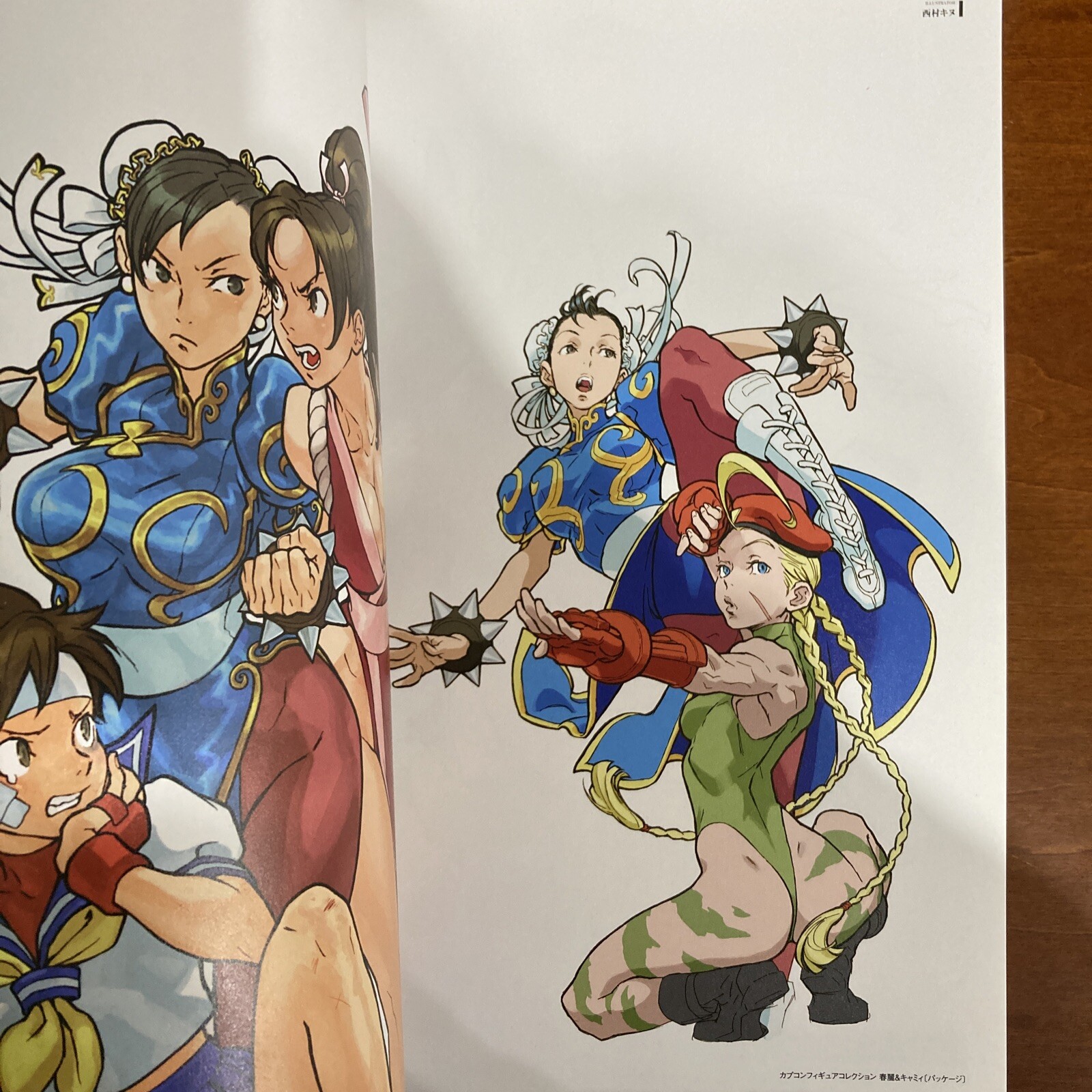 Street Fighter Artworks Kyoku Art Book Illustration