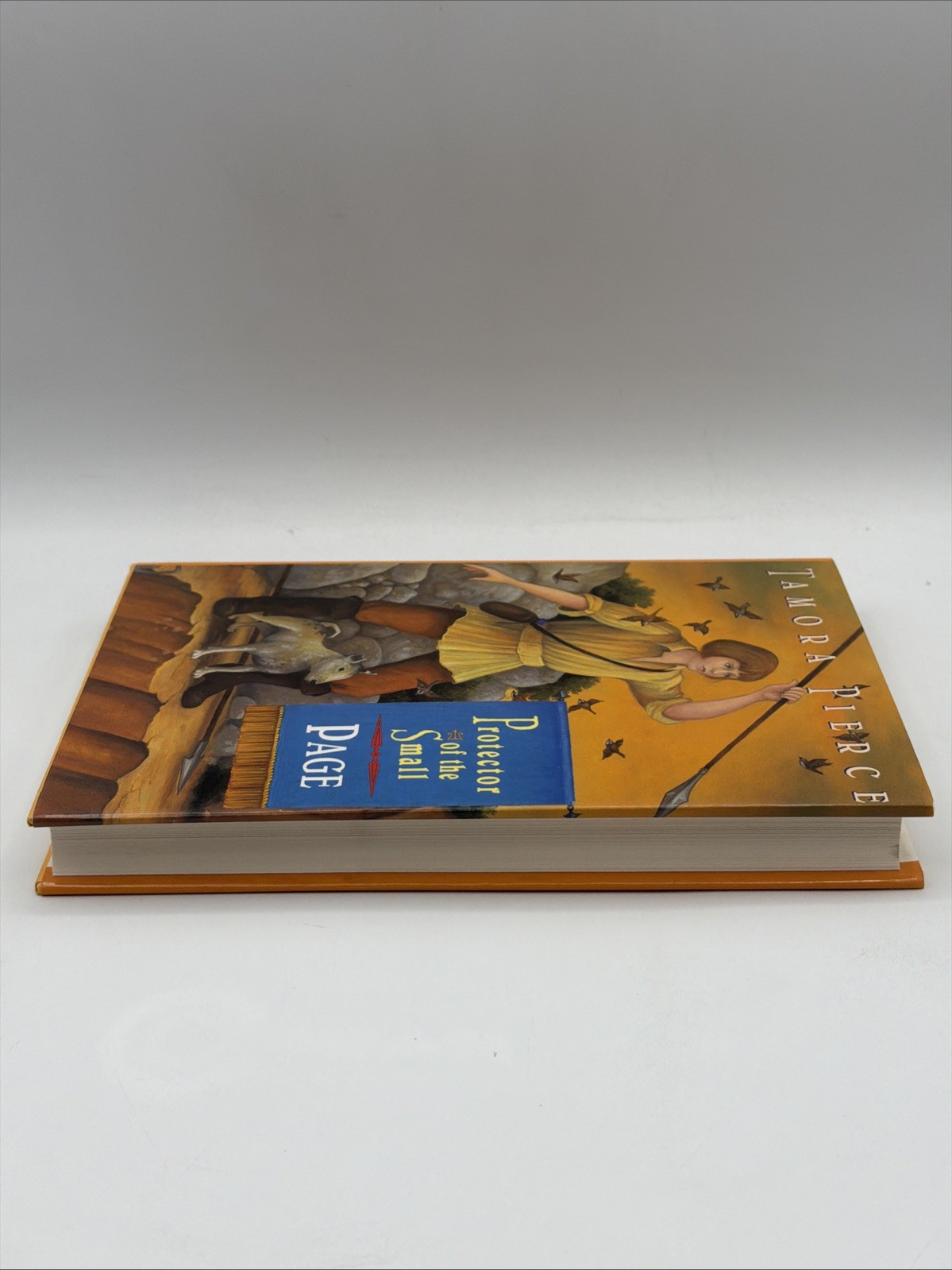 Protector of the Small Page Book 2 Hardcover By Tamora Pierce Random House Books