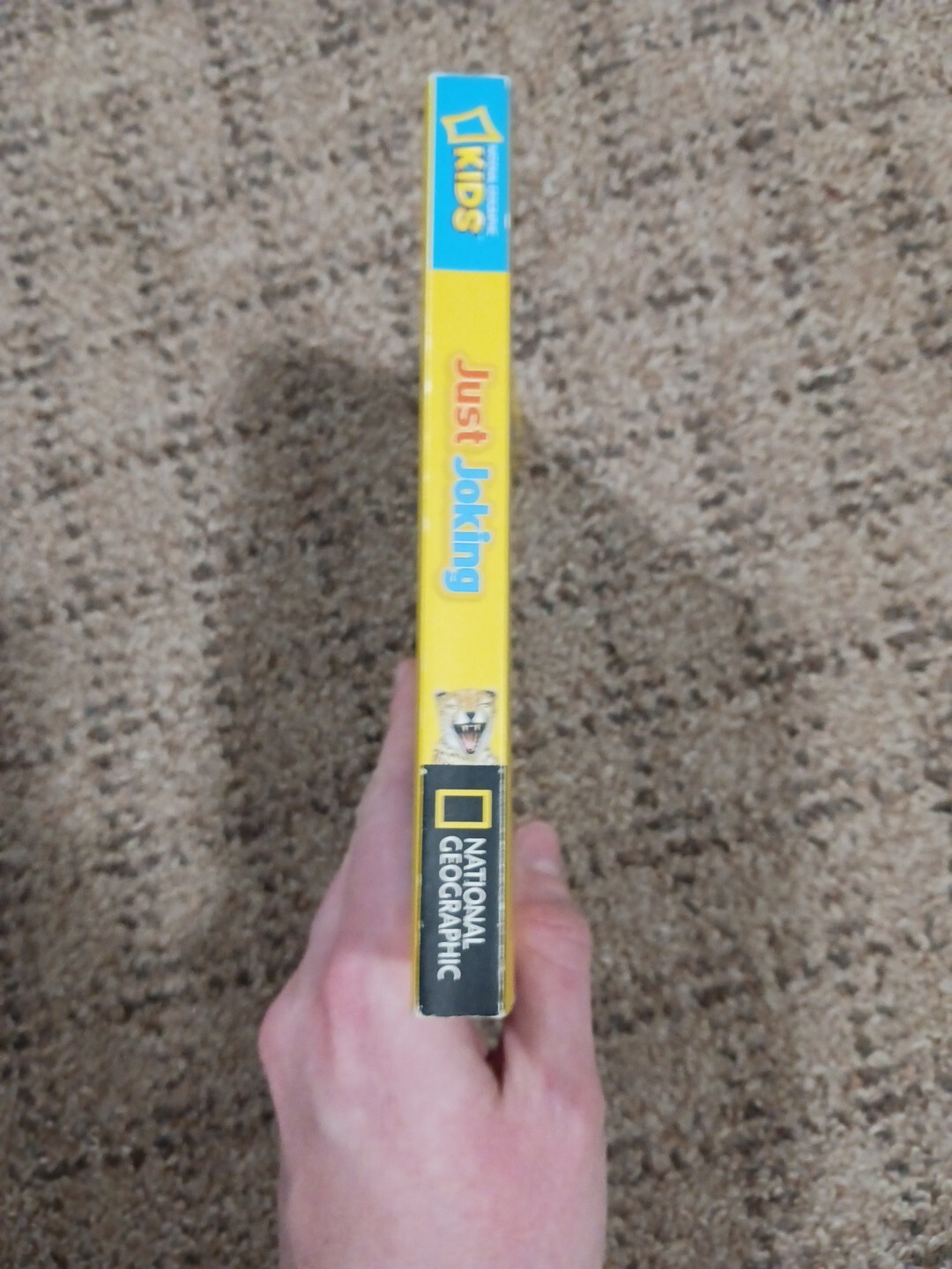 National Geographic Kids Just Joking : 300 Hilarious Jokes Book