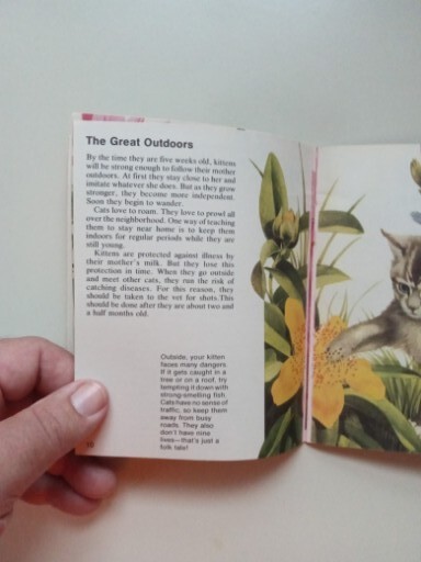 SCIMITAR NP Cats By Jill Hughes 1981 Paperback