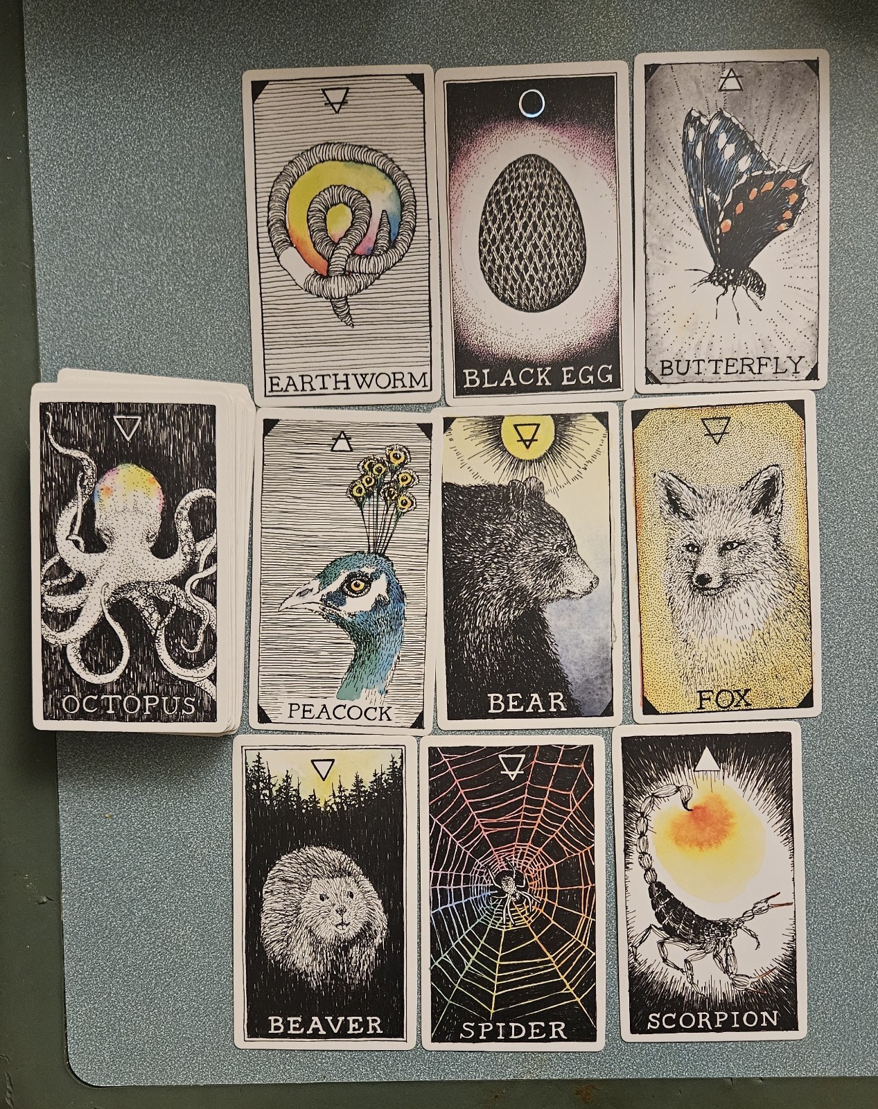 The Wild Unknown Animal Spirit Deck and Guidebook by Kim Krans