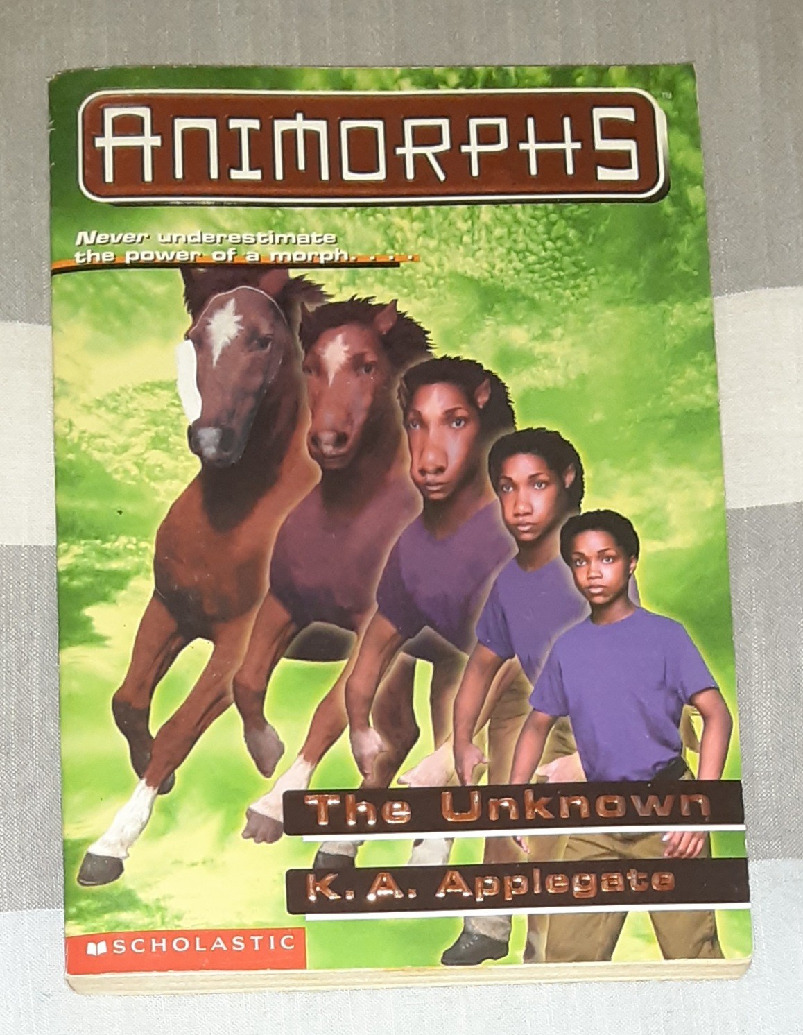 Animorphs Book Lot of 21 (K.A. Applegate, Paperback)