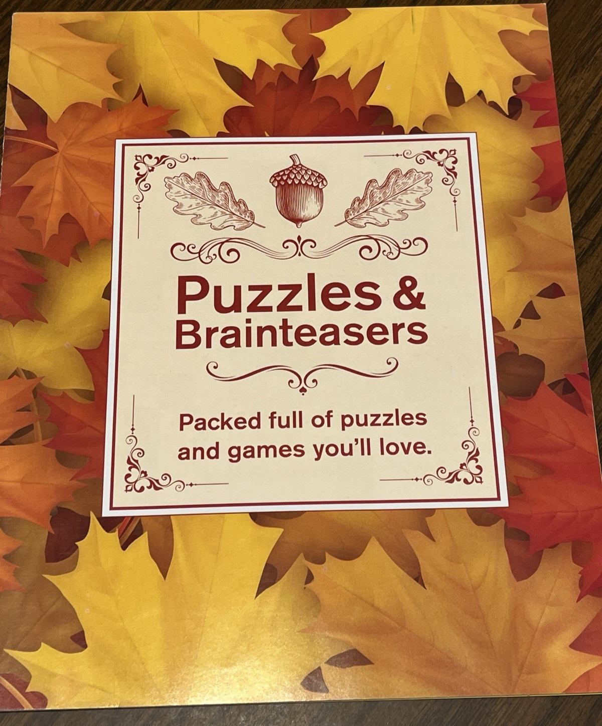 Puzzles &Brain Teasers Booklet Puzzles with Full Solutions-Boys Town 100 yr