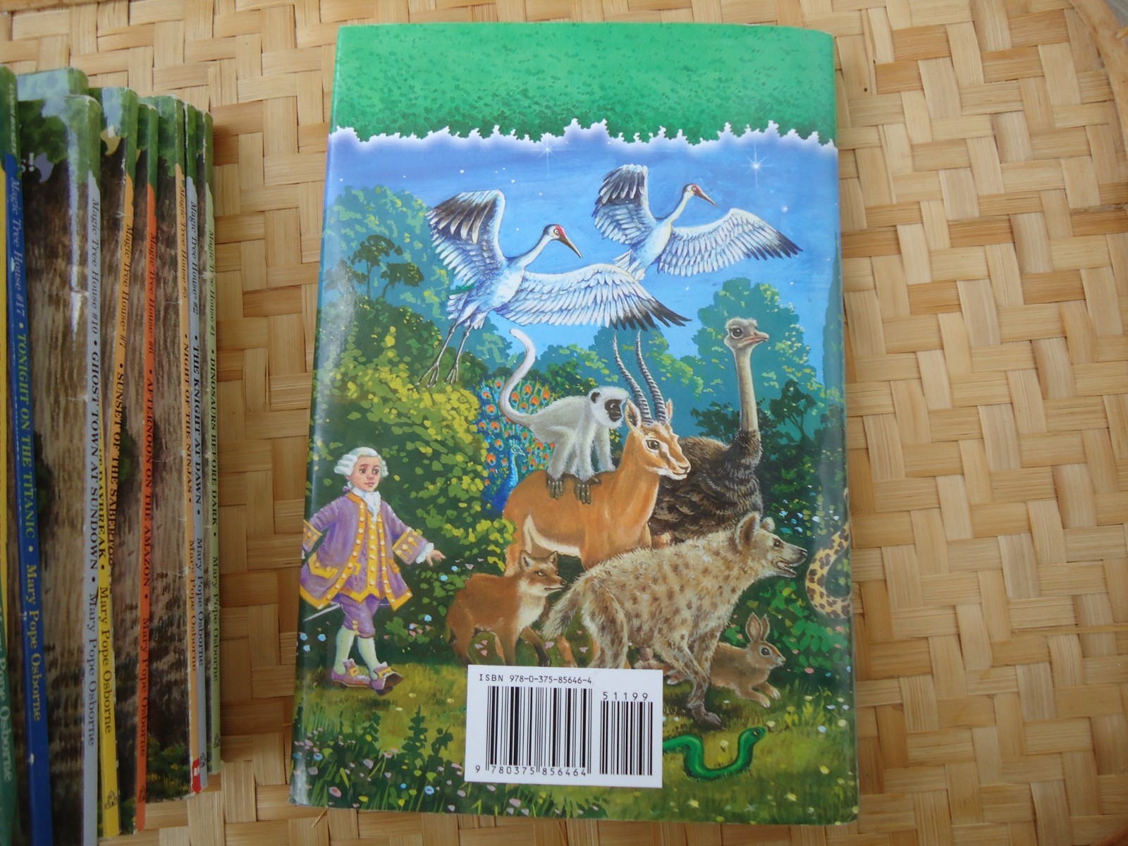 Magic Tree House Lot 11 Books Mostly PB No Repeats Childrens Historical Fiction