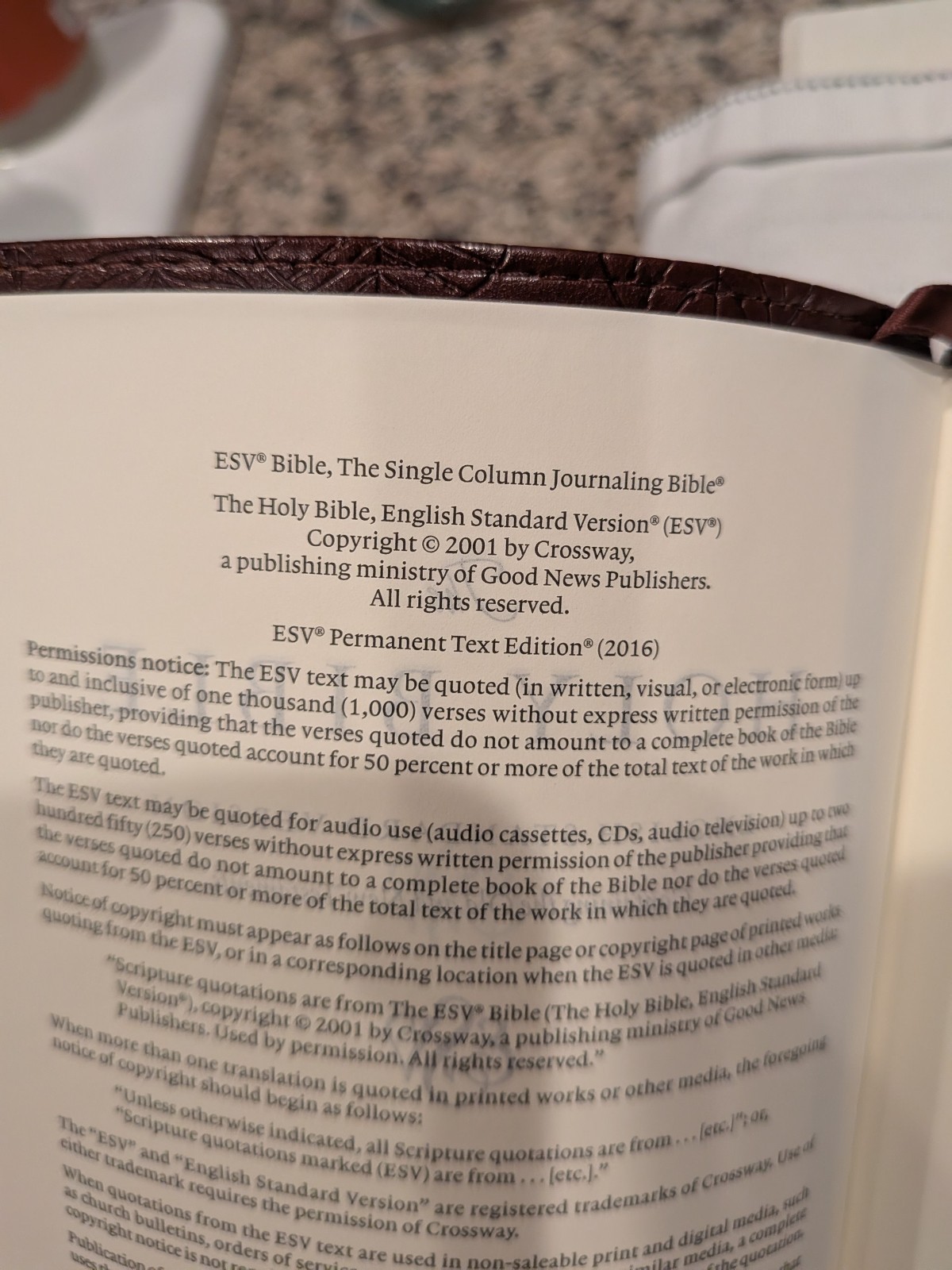 Crossway ESV Single Column Journaling Bible TruTone Leather Chestnut Leaves