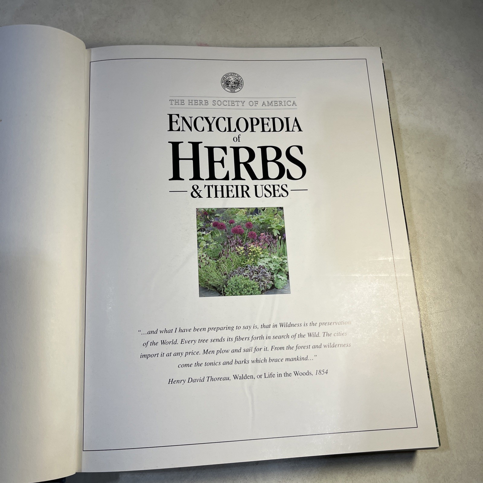 Encyclopedia of Herbs + Their Uses Deni Bown 1995 Illustrated Hardcover 1st Ed