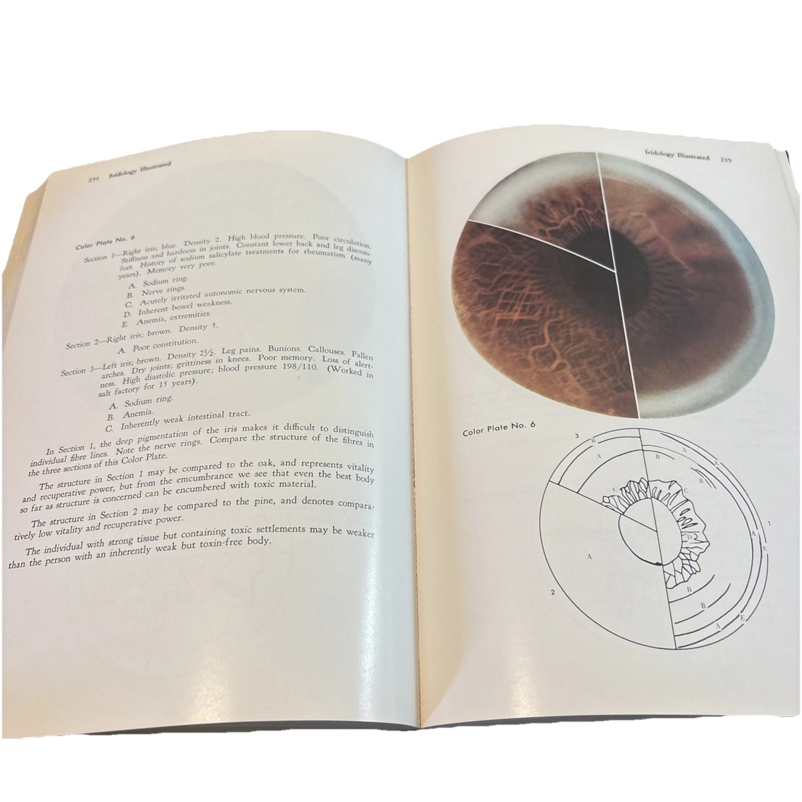 The Science and Practice of Iridology Bernard Jensen 10th Printing 1980 Fair*
