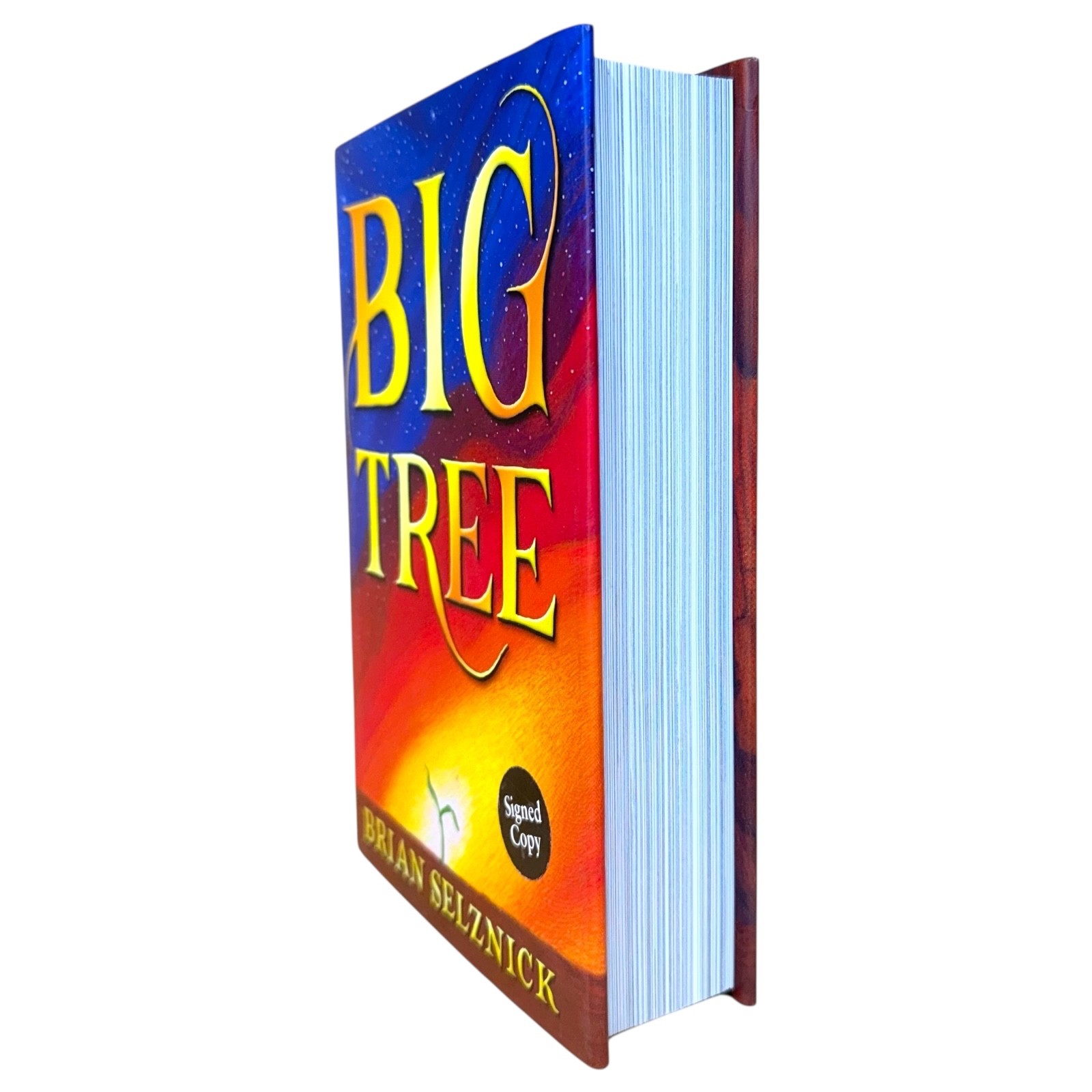 Big Tree by Brian Selznick 2023 Scholastic Press Hardcover Signed First Edition