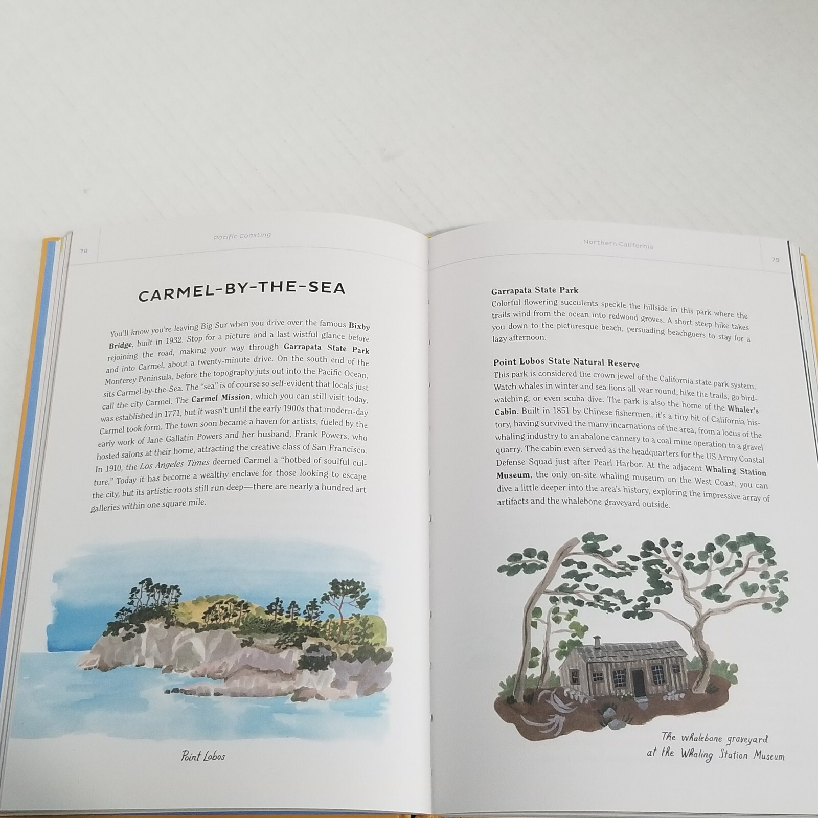 Pacific Coasting by Danielle Kroll A Guide to The Ultimate Road Trip HC 2020