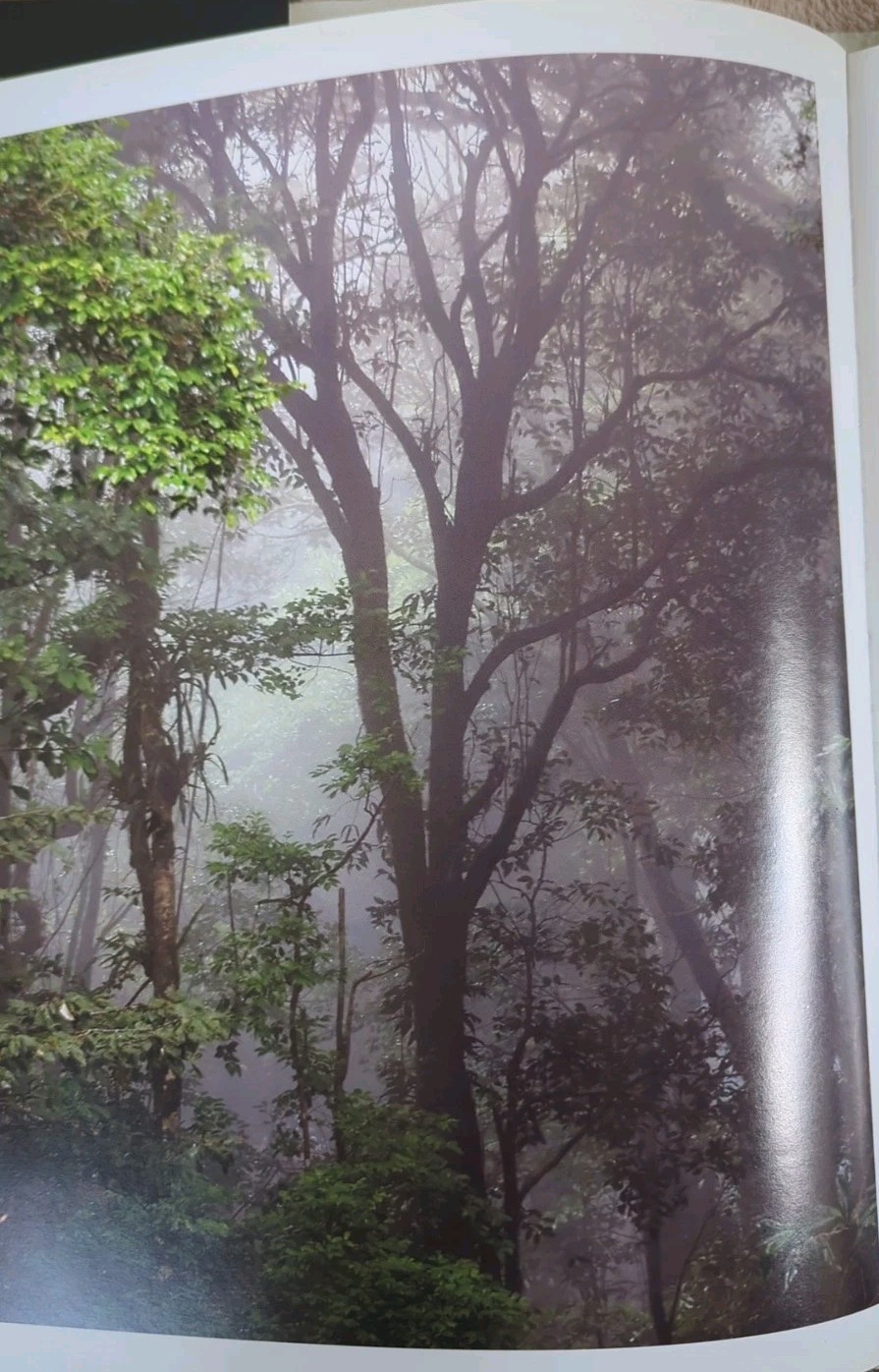 Monteverde: Cloud Forest Preserve Hardcover. English & Spanish, 152 pages