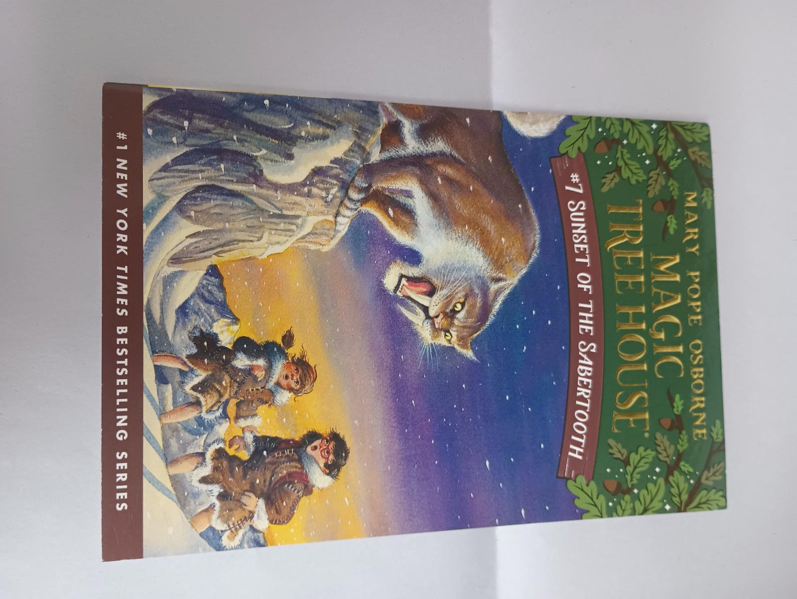 Magic Tree House BOXED SET of Paperbacks 5-8 in Slipcase