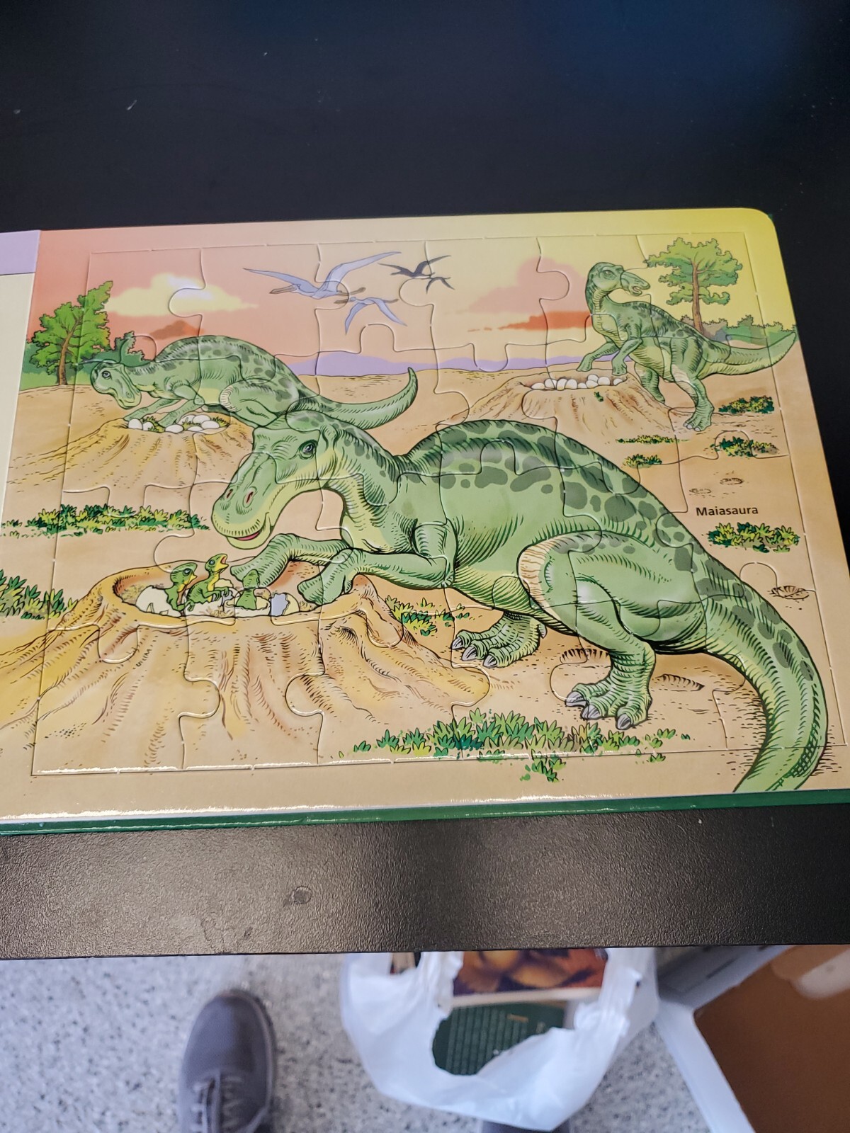 Discovering dinosaurs Book and 5 jigsaw puzzles