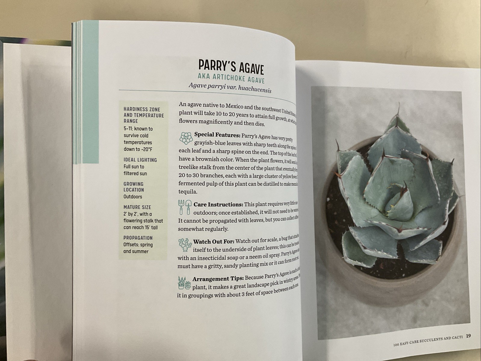 Succulent Obsession Complete Guide by Ken Shelf HC 2022 Rockridge Press