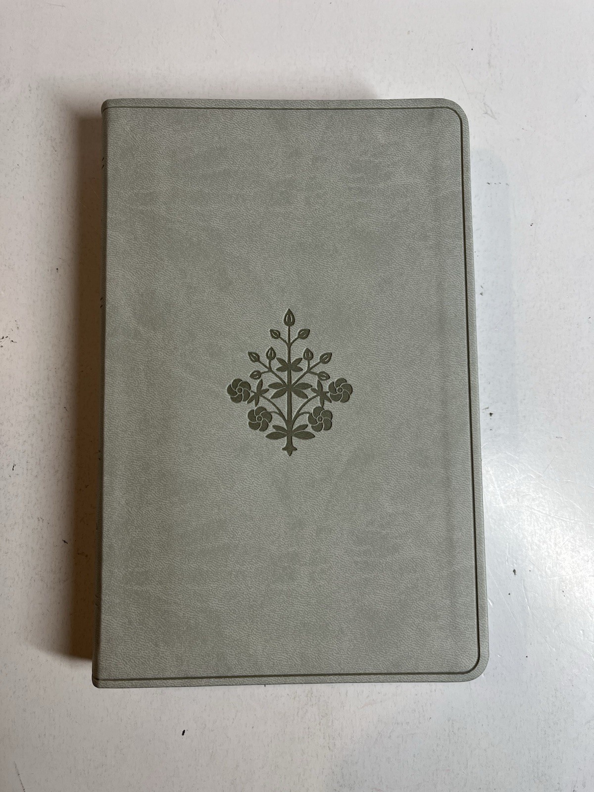 ESV Large Print Value Thinline Bible (Trutone, River Stone, Branch Design)