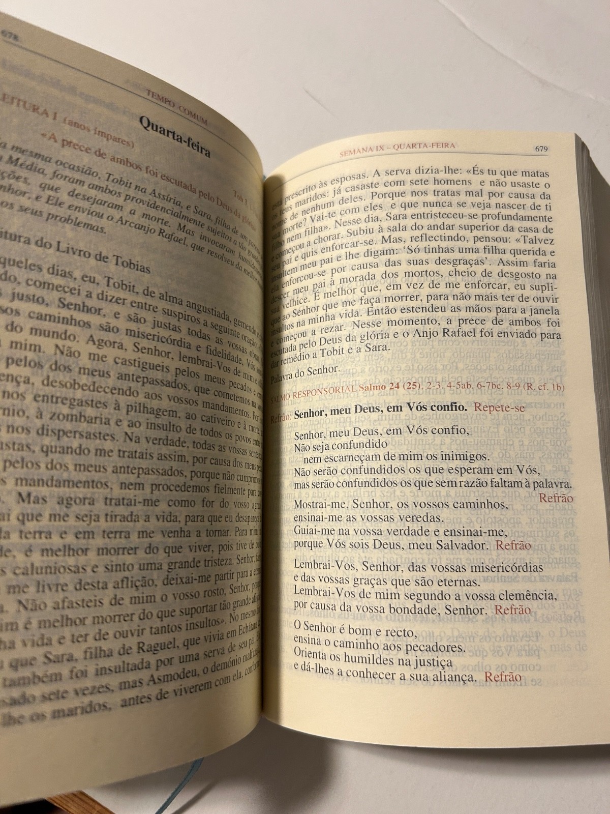 Missal Popular Ferial 3rd Edition 1997 – Vol. II – Hardcover Leatherbound