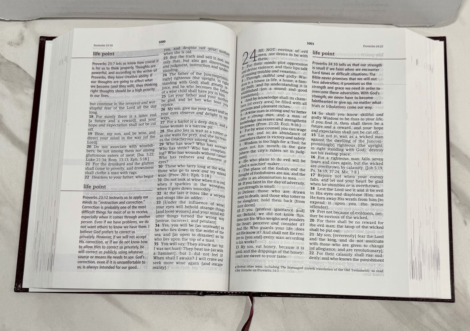 Joyce Meyer The Everyday Life Bible Amplified Version Leather Bound 2009