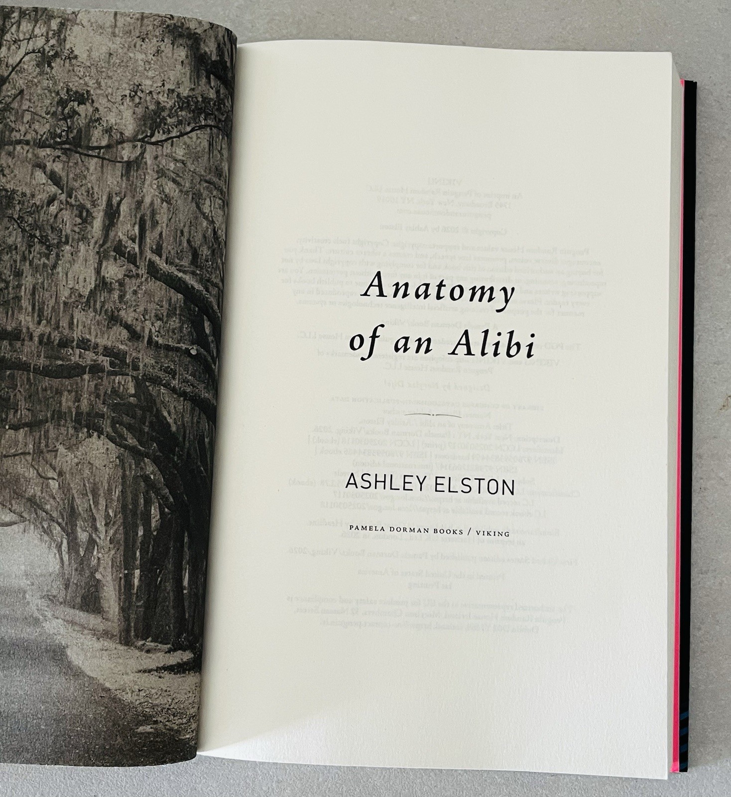 Anatomy of an Alibi: A Novel – Hardcover, by Elston Ashley – Very Good