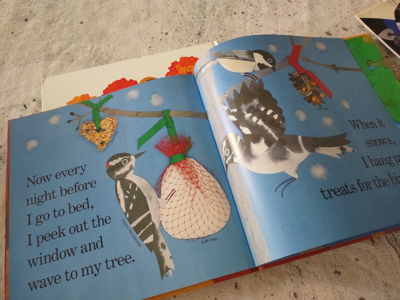 Lot Of 8 Lois Ehlert Picture Books Nature Fish Eyes Feathers For Lunch Snowballs
