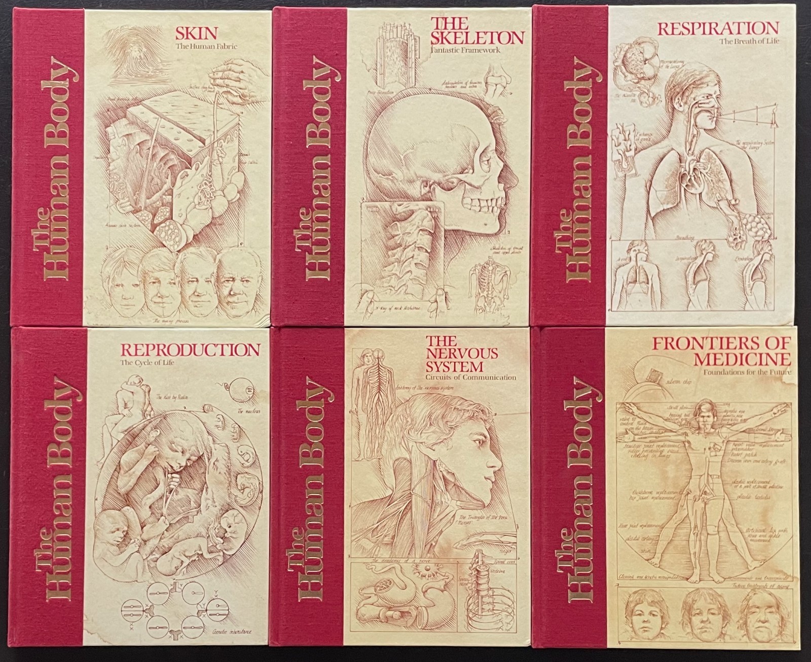THE HUMAN BODY Complete Set. Vol 1-20. 1985. Torstar. Good Condition