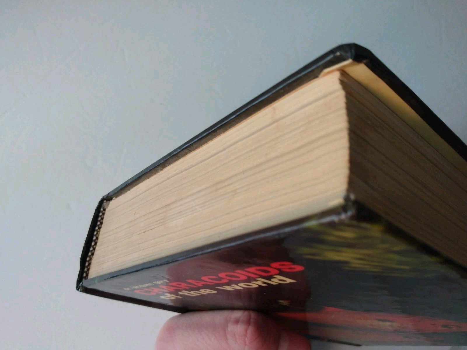 Characoids of the World by Jacques Gery (1978, Hardcover)