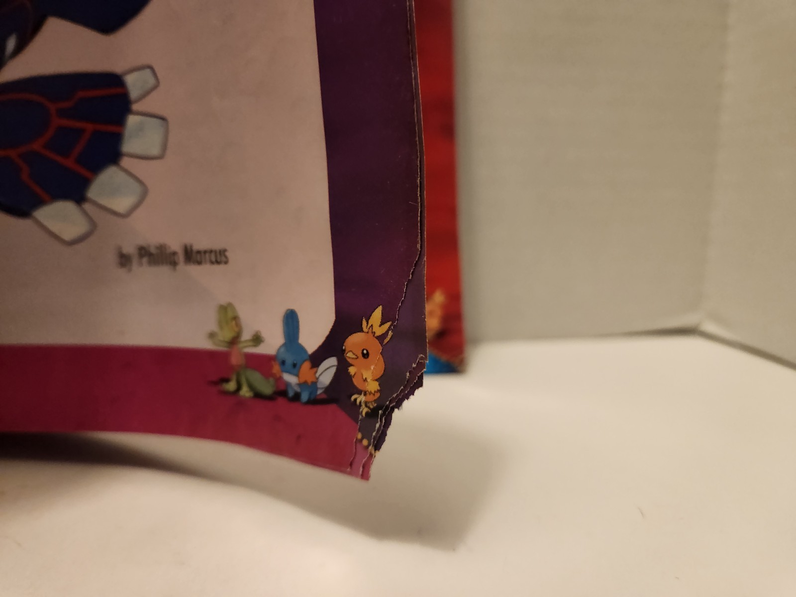 Pokèmon Ruby and Sapphire Phillip Marcus 2003 Brady Games Nintendo Free Shipping