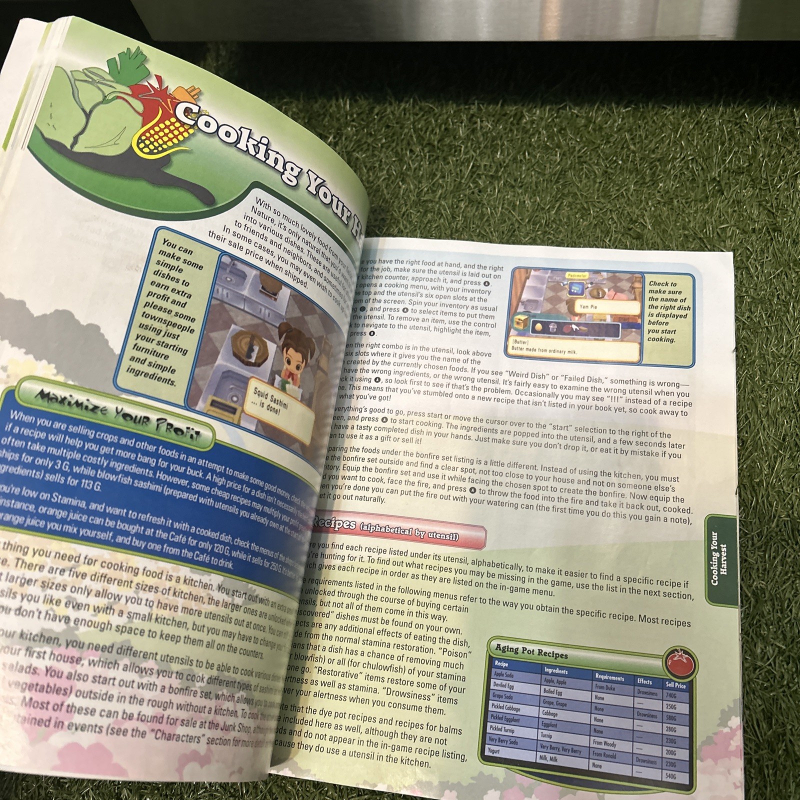 Official Harvest Moon Magical Melody Harvest Moon DS Strategy Guide BradyGames