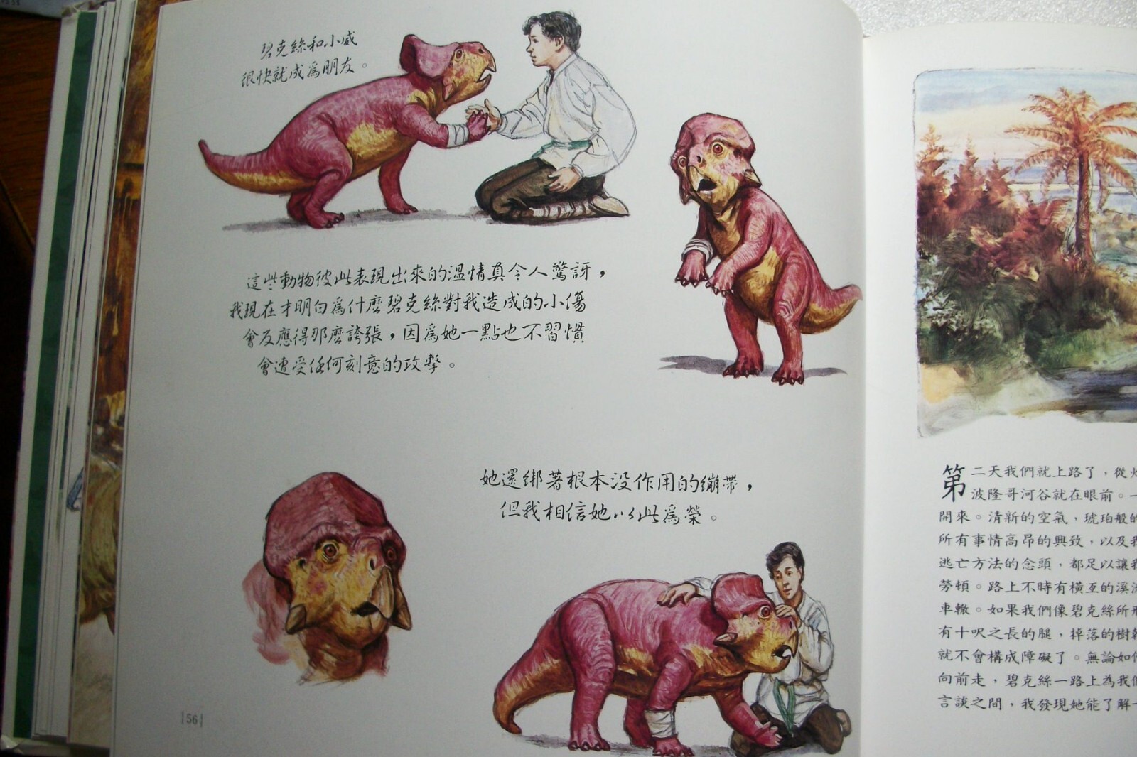 NEW – Dinotopia by James Gurney – CHINESE LANGUAGE Edition 1992 Hardcover