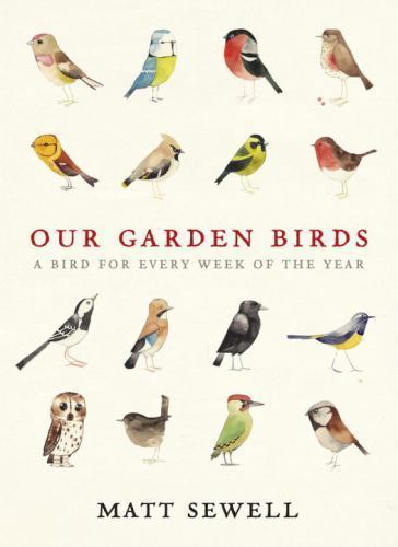 Our Garden Birds by Matt Sewell (2012, Hardcover)