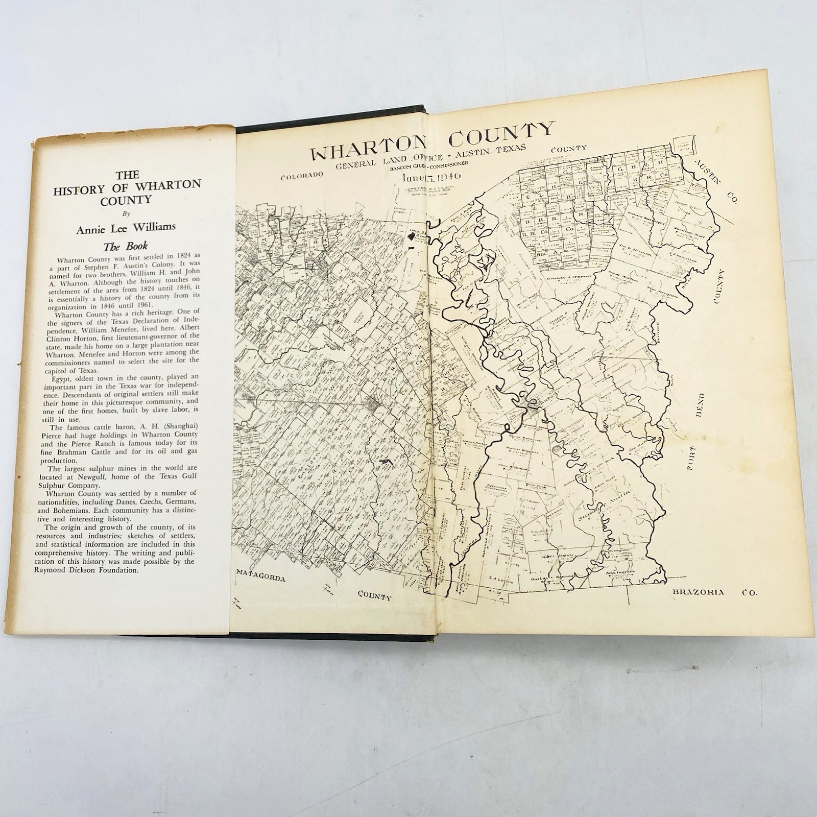 The History of Wharton County Texas 1846-1961 Annie Lee Williams Hardcover DJ