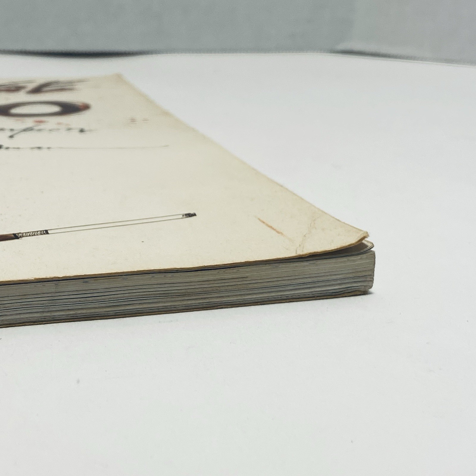 The Curse of Lono Paperback Book Hunter S. Thompson & Ralph Steadman 1983 Vtg