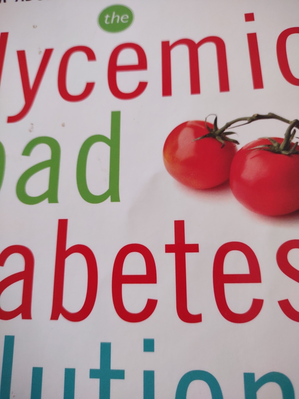 The Low Glycemic Load Diabetes Solution Paperback Book.
