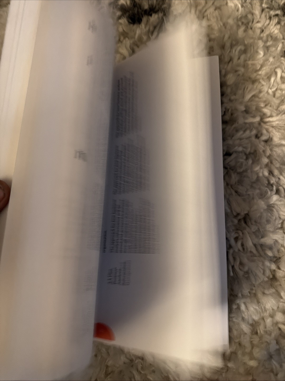 Agile Extension to the BABOK(R) Guide: Version 2 by Iiba