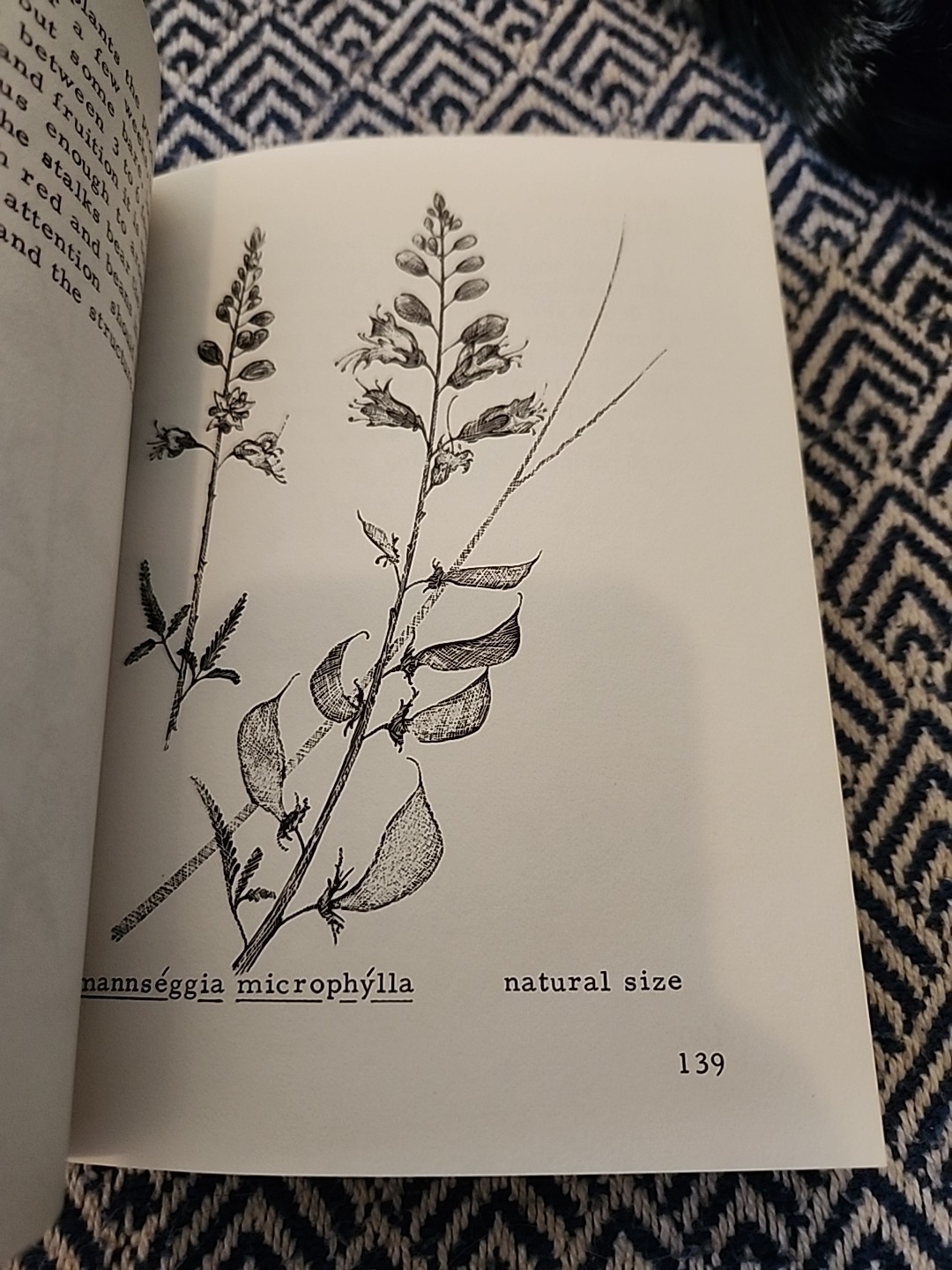Mockel’s Desert Flower Notebook SIGNED by Author