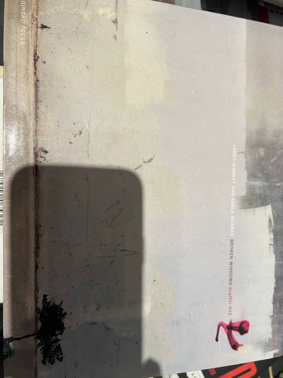 Broken Windows Graffiti NYC by James Murray Karla Murray New York City Book