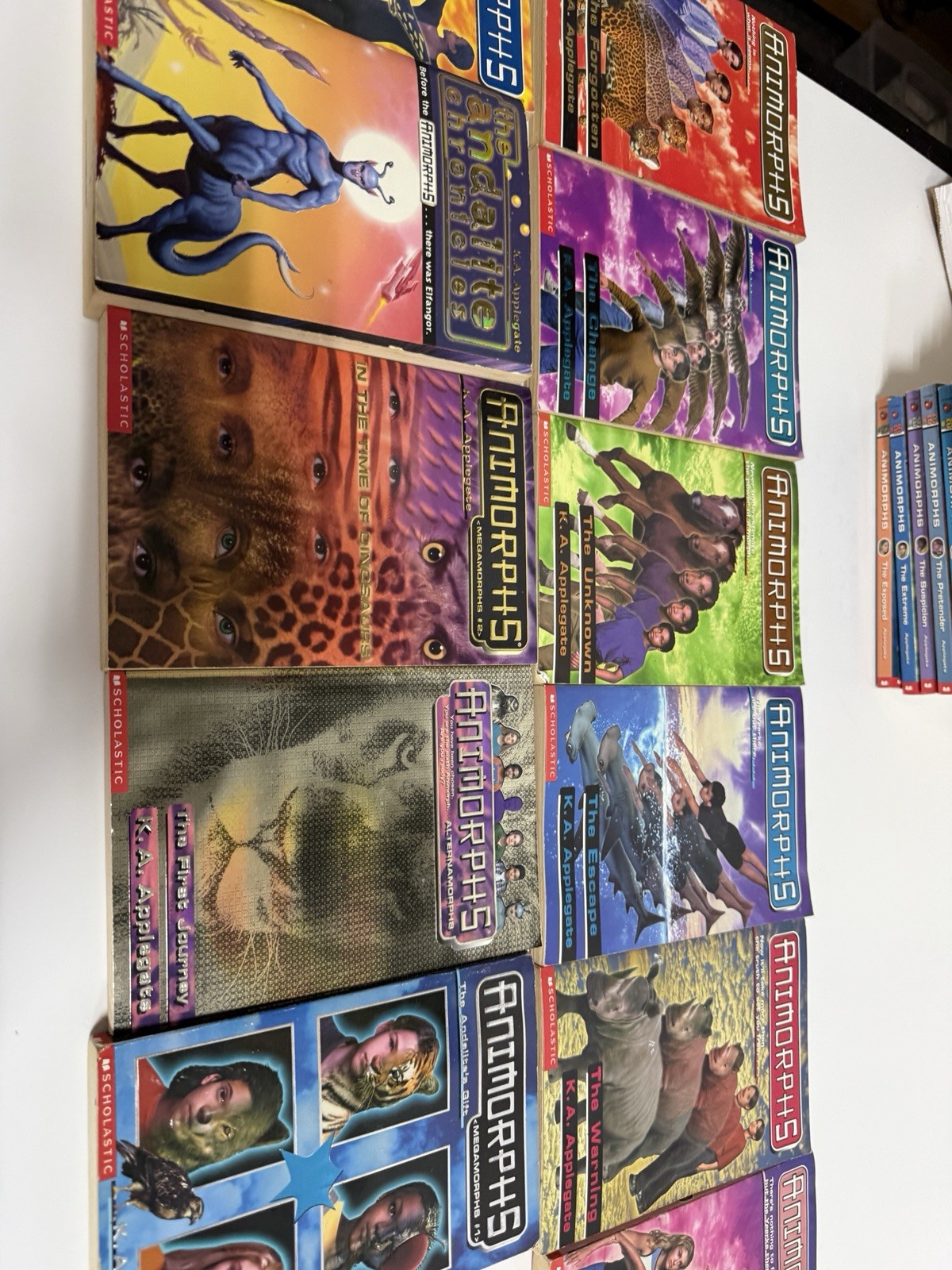 Animorphs Book Lot