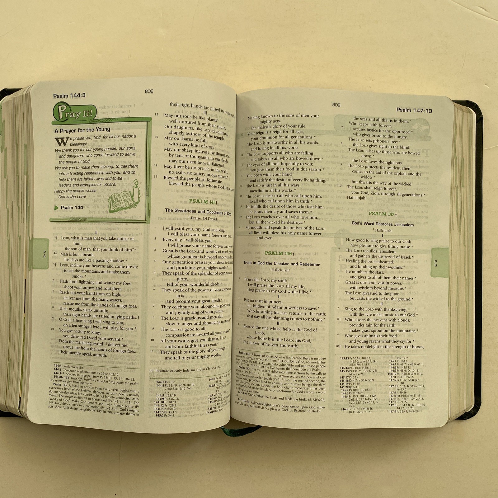The Catholic Youth Bible Leatherette 3rd Edition St Mary’s Press 2012