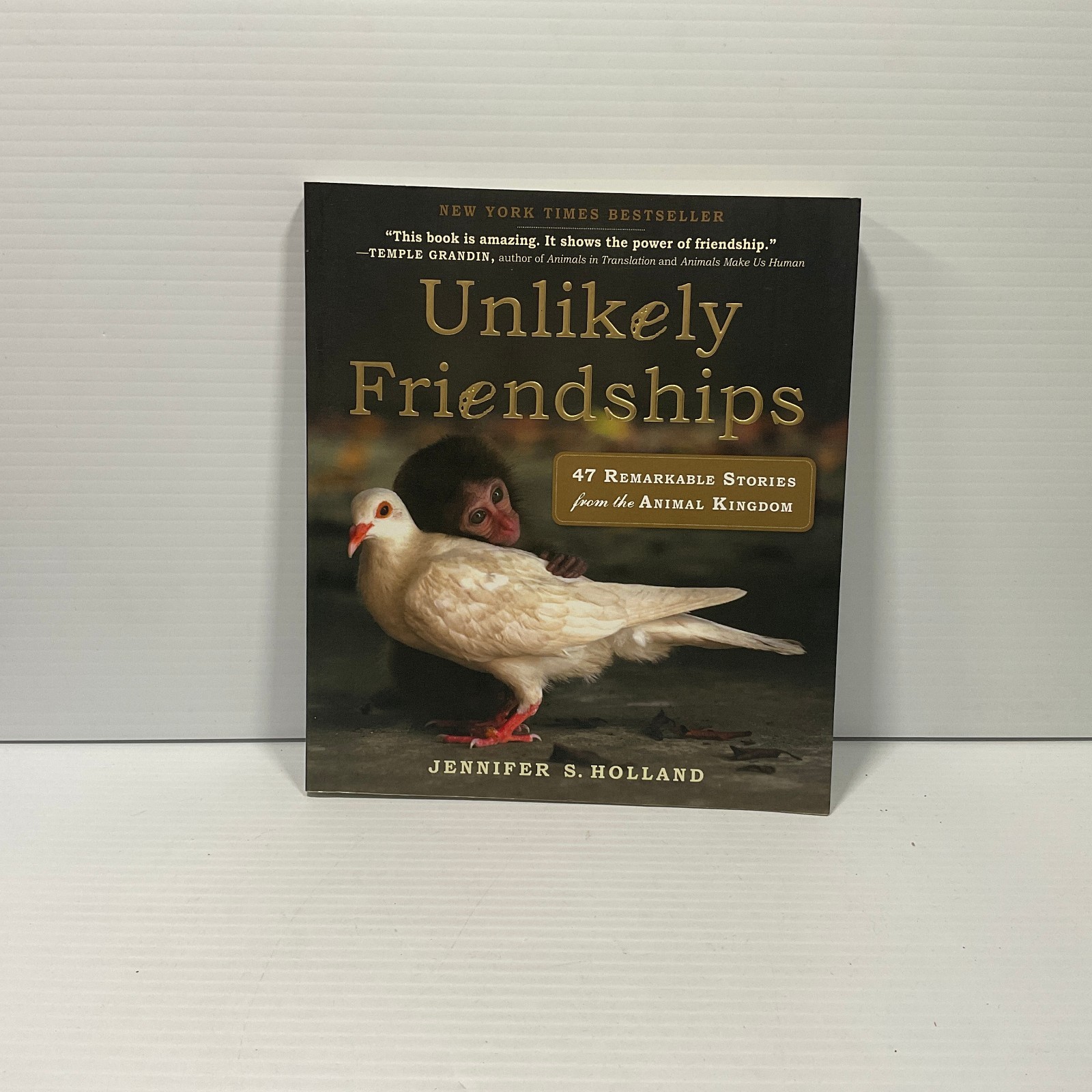 Unlikely Friendships by Jennifer S. Holland