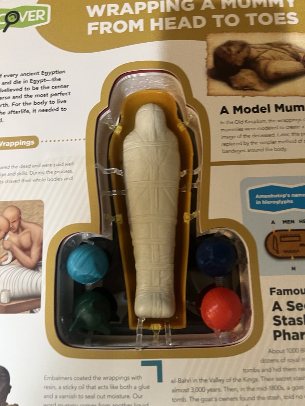 Uncover an Egyptian Mummy ,Large Book 12”