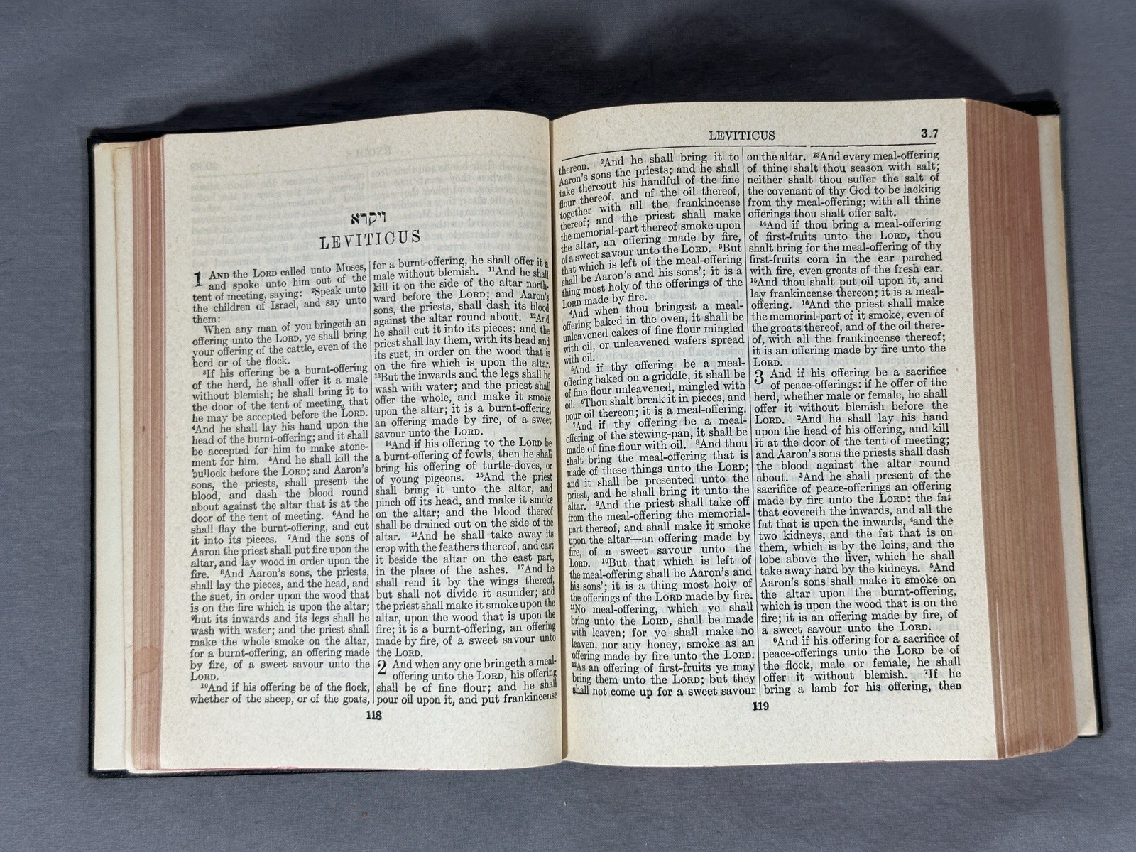 Holy Scriptures Bible 1956 Jewish Publication Society 1917 Religion READ