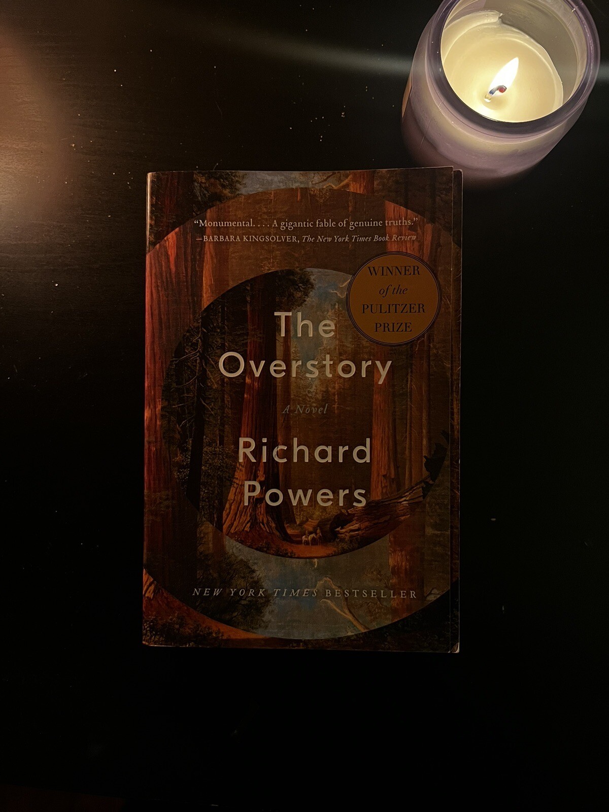 The Overstory by Richard Powers (2019, Trade Paperback) Great Condition!
