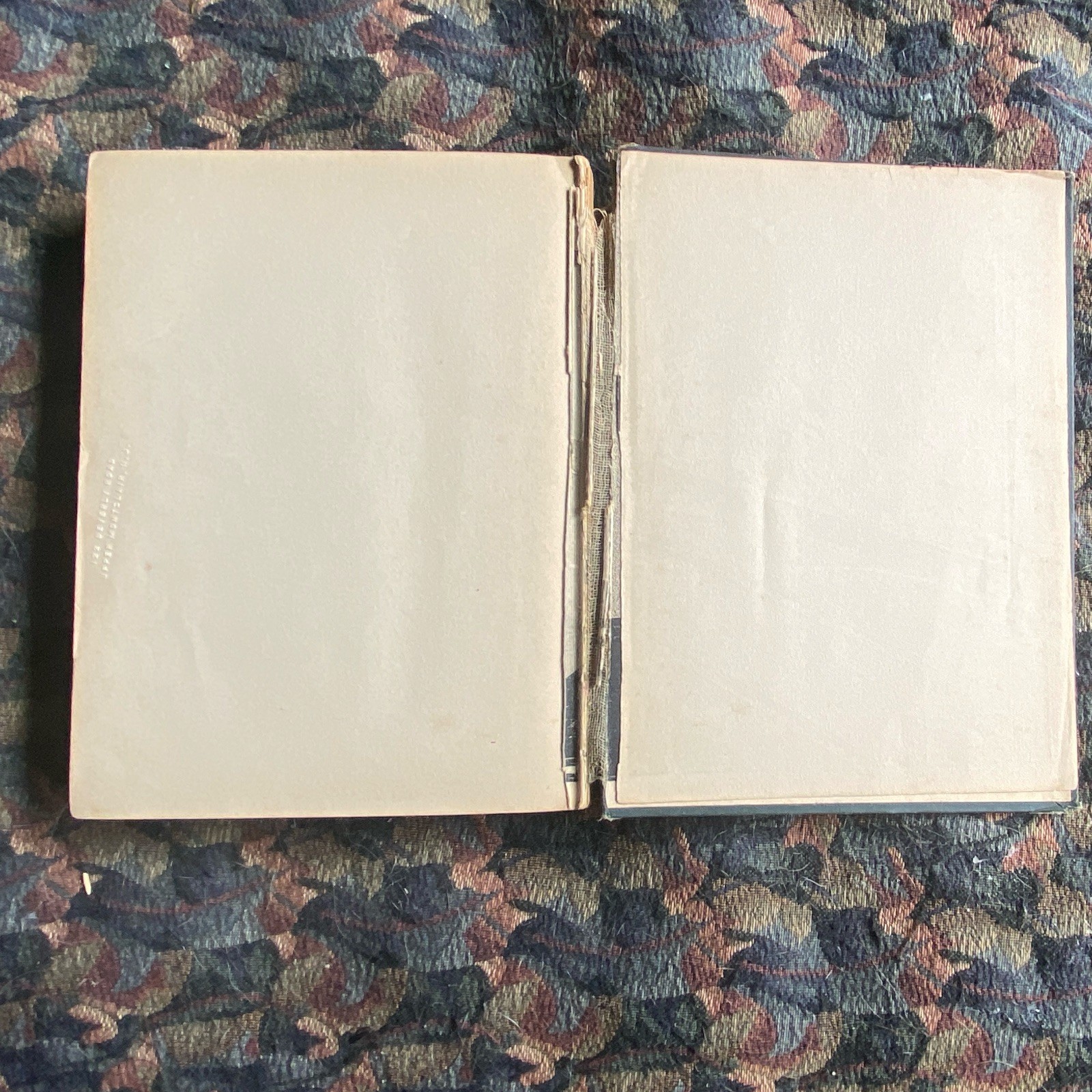 L. Frank Baum The Lost Princess of Oz Oz Series HC Illus Neill Reilly & Lee 1917