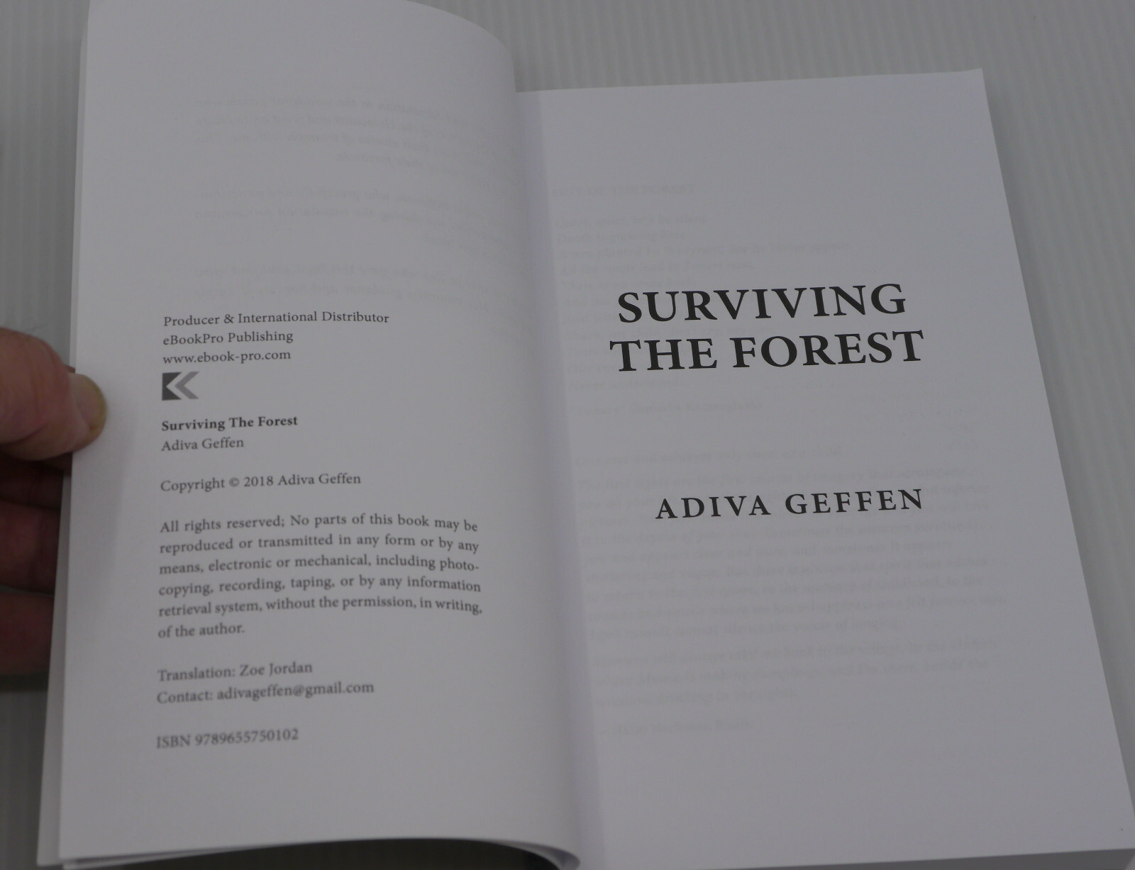 SURVIVING THE FOREST, 2018 WORLD WAR II HOLOCAUST NOVEL, ADIVA GEFFEN